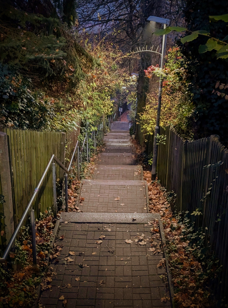 Ein Weg führt geradeaus viele Treppen hinunter, und verschwindet im Hintergrund zwischen überhängenden Büschen und Bäumen, die zusammen mit Holzzäunen und Hecken den Weg säumen. Überall liegen braune Blätter auf dem Boden. Es dämmert schon deutlich, aber in der Mitte des Bildes erhellt eine Laterne die Szene.