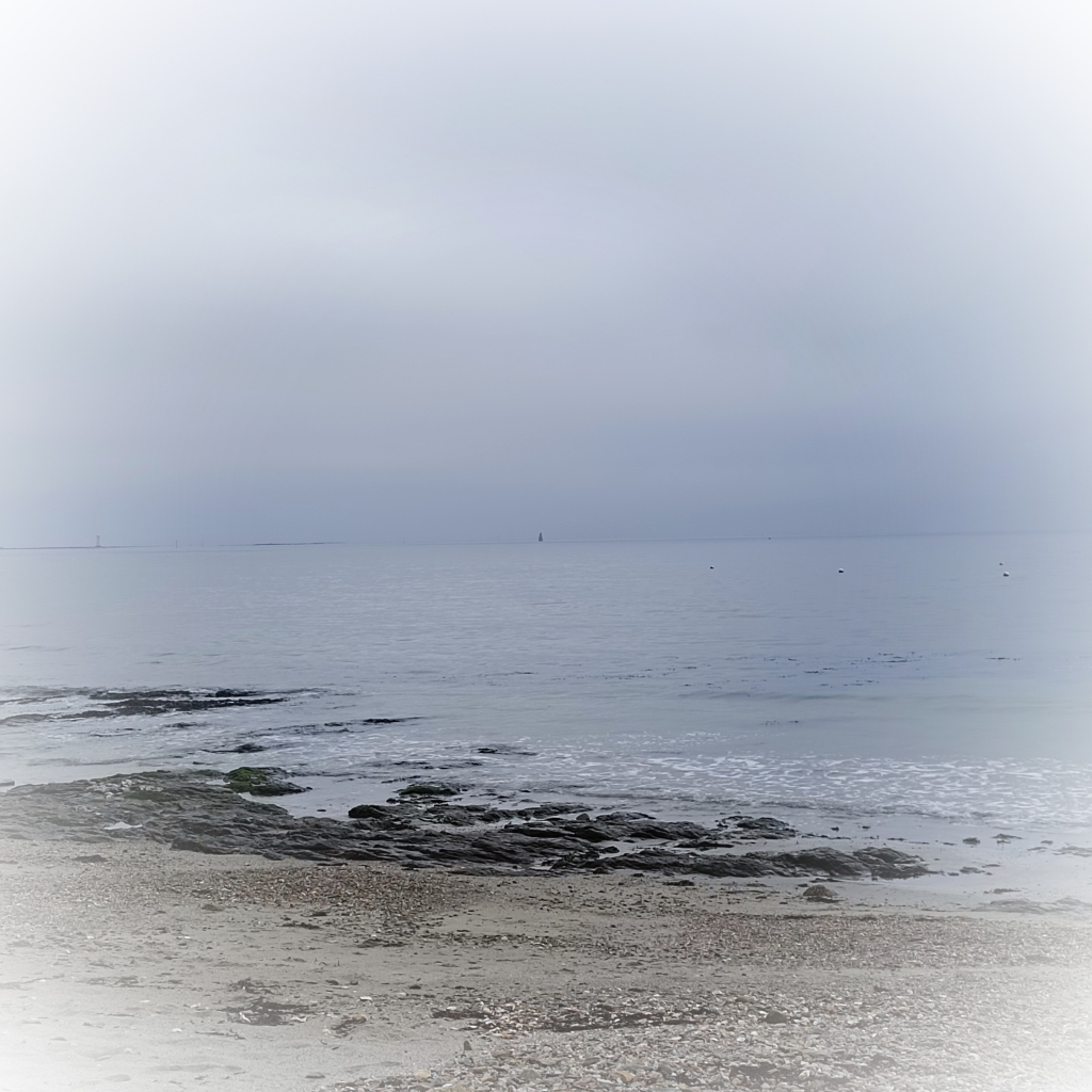 Un paysage de bord de mer, dans des tons de gris et de beige 
Au premier plan, une plage de sable grossier, avec quelques cailloux 
Derrière, des rochers et des vaguelettes 
Ensuite, la mer bleue grise, qui se fond dans le ciel.
Sur la ligne d'horizon, on distingue une bouée.
