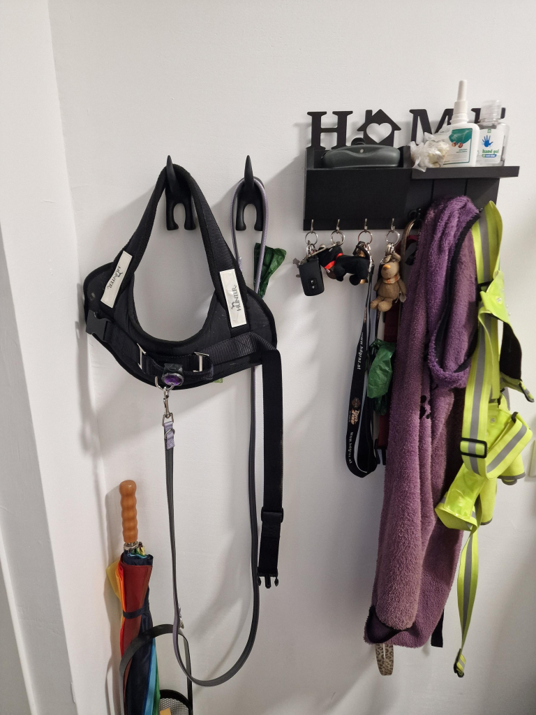 Corner in the hallway, with two black dog butt's hooks, which have Arwen's leash and harness hanging on them. A rack next to it with keys, Arwen's bathrobe, and my safety harness. An umbrella in the corner. 