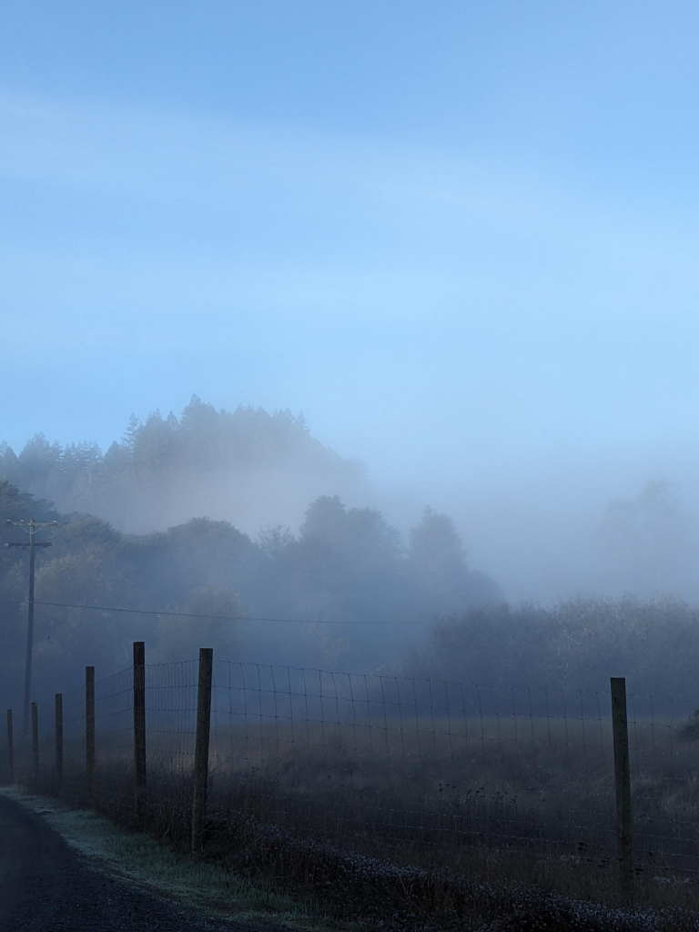 Layers of trees and fog in a landscape photo... Sleepy somehow 