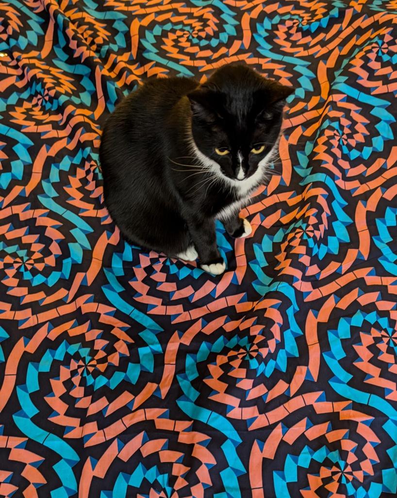 Photo of a black and white kitty looking down at a huge piece of pink, black and blue fabric she is sitting on