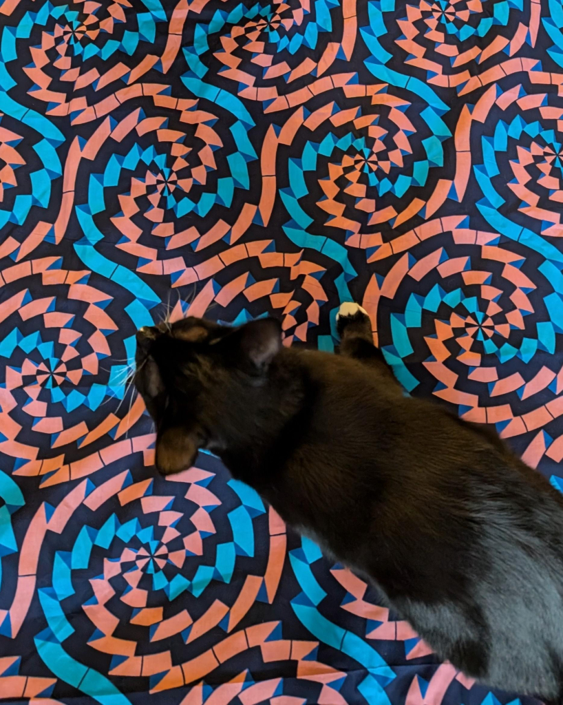 Photo of a black and white kitty looking down at a huge piece of pink, black and blue fabric she is standing on. Seen from above 