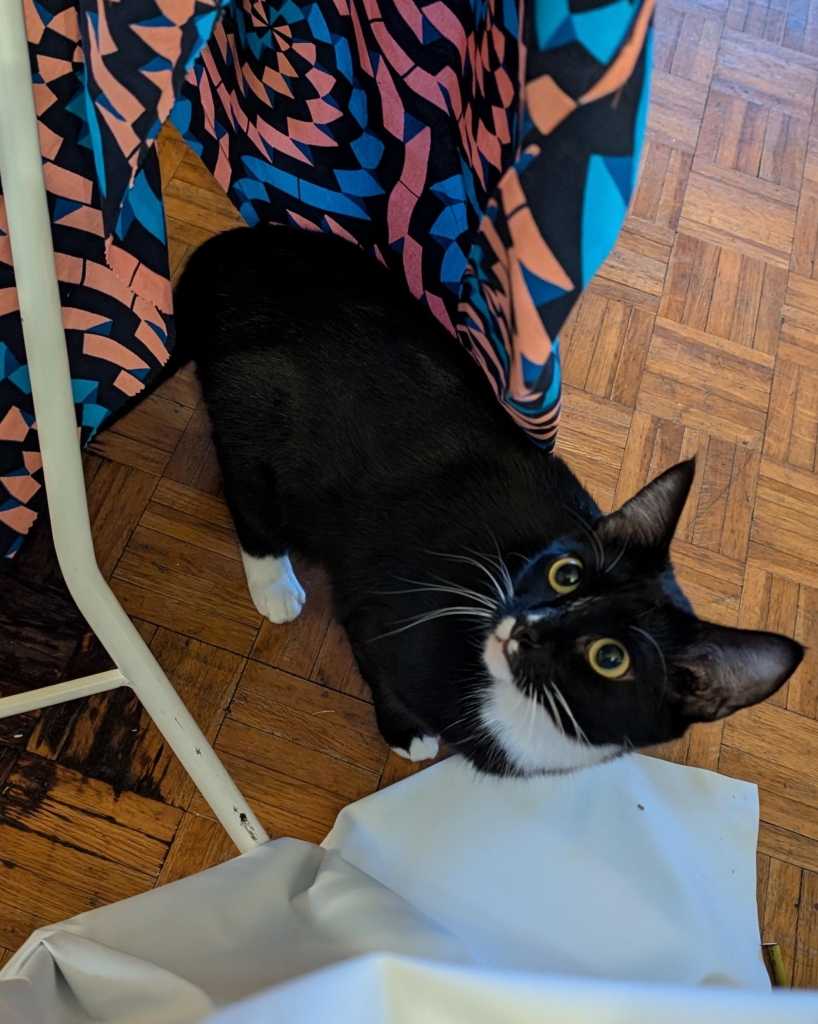 Photo of a black and white kitty looking up at a huge piece of pink, black and blue fabric that is hanging from an ironing board. She looks angry. There's more white fabric crumpled in the foreground 