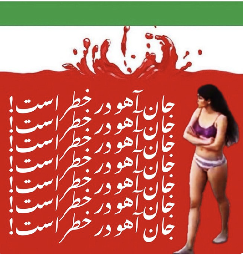 Illustration of Ahou Daryaei. A photo of Ahou is on top of an Iranian flag. The red part of the flag is a splash to resemble perhaps blood or perhaps a disturbance in the water. Written in white on the red part of the flag is an Arabic phrase over and over again. Translation: not yet known.