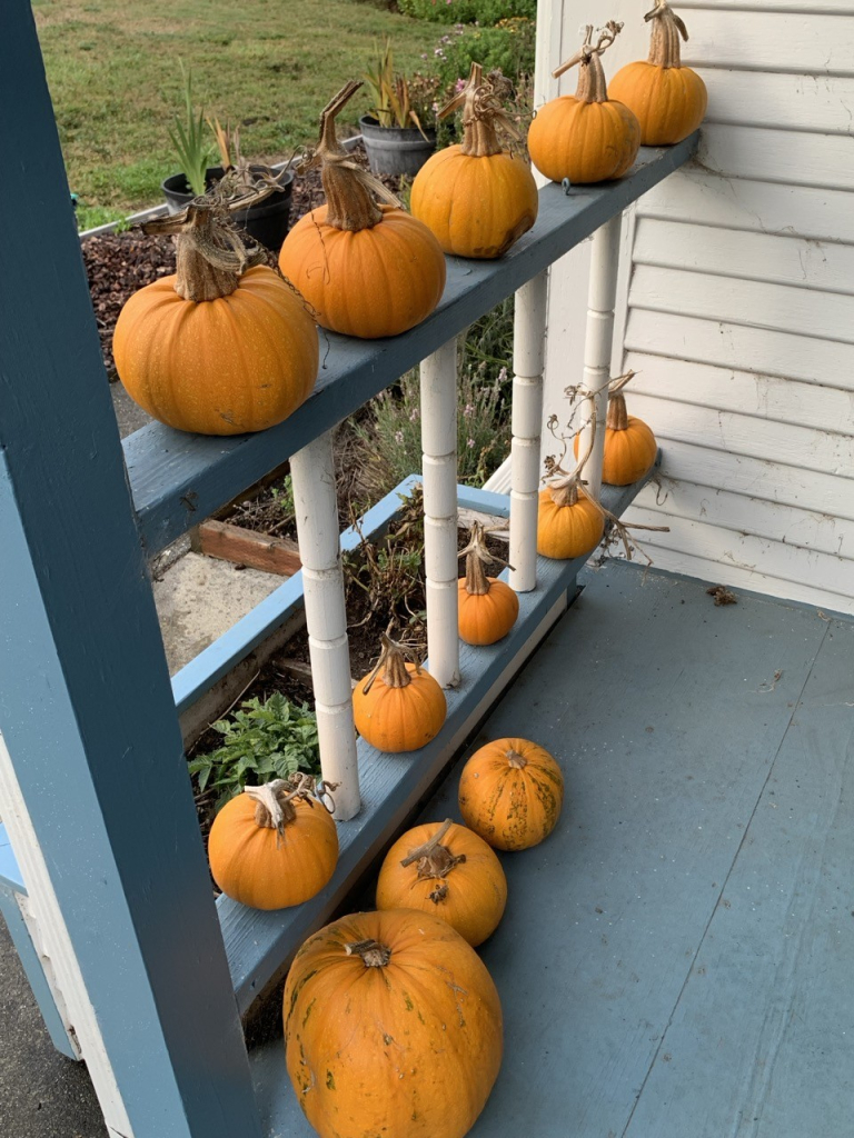 My blue painted porch railing with small pumpkins arranged.