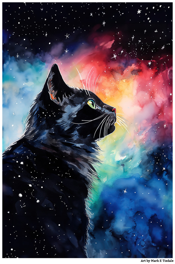 Black cat seen in profile against a colorful night sky with predominantly red blue and three colors The cat appears to have stars in his fur as well as in the sky behind him.