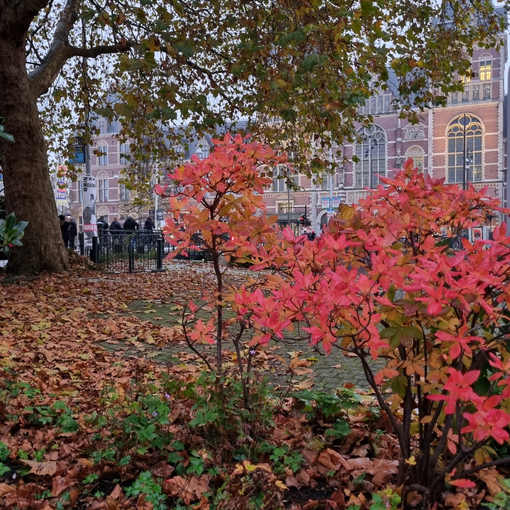 Amsterdam Rijksmuseum behind trees in autumn colors