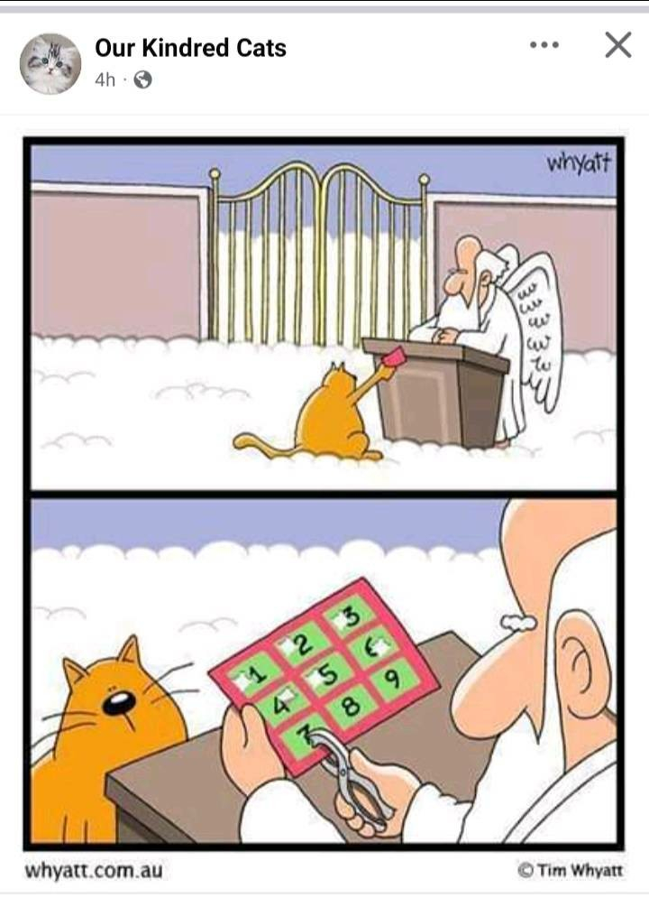 Cartoon in two panels, fairly simple style, block colours

Top panel; in front of the Pearly Gates, an orange cat hands a ticket up to St Peter behind his desk.

Lower panel; the card is revealed to be printed with the numerals one to nine.  One to six have had holes punched trough them.  St Peter is in the process of punching the number seven. 