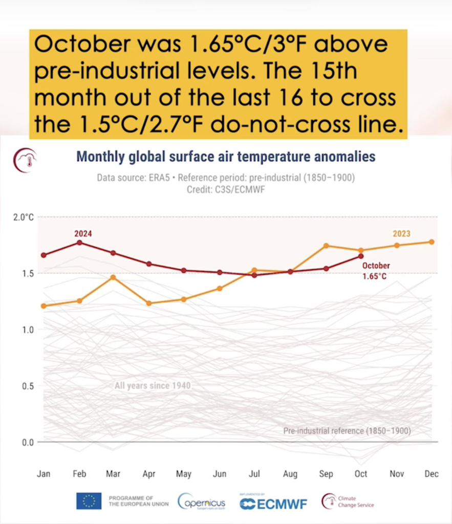 Screengrab from linked video. We see a chart of monthly global surface air temperature anomalies, measured from January 2023 through October 2024. Caption says: "October was 1.65°C above pre-industrial levels. The 15th month out of the last 16 to cross the 1.5°C do-not-cross line."