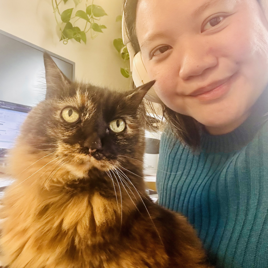 A large tortie sitting on someone’s lap