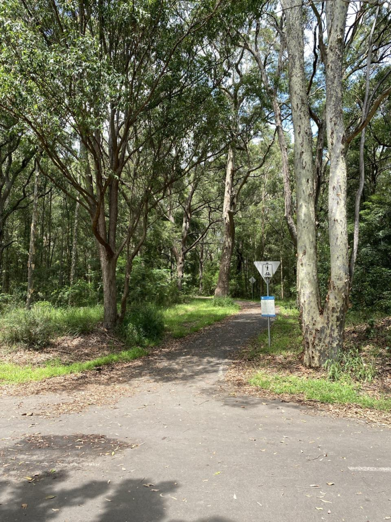 Photo of a sealed pathway headed off into bushland. Lots of tall gum trees with grassy green areas below. And more birdsong in that direction. The pathway is on the edge of the park and goes off for about 2km through lovely green space towards the hospital up on the hill. 