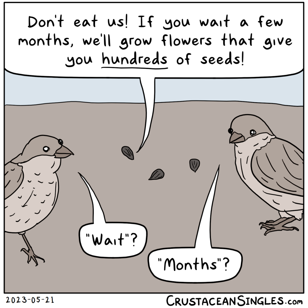 Three seeds sit atop soil, faced by two European house sparrows. One seed says, "Don't eat us! If you wait a few months, we'll grow flowers that give you hundreds of seeds!"