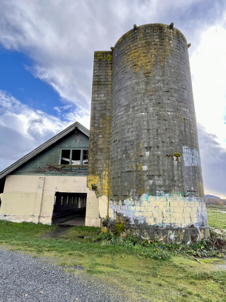 Deteriorating concrete silo at the end of a cow barn.