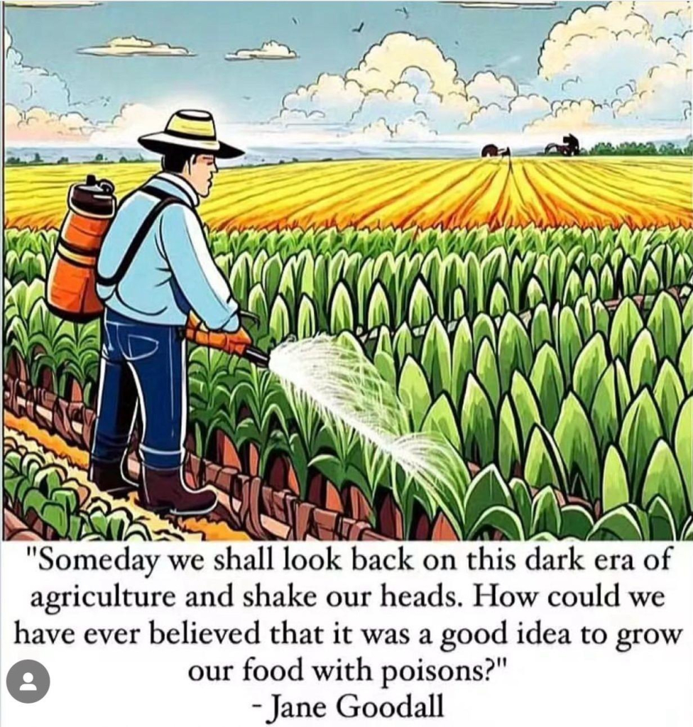 Someday we shall look back on this dark era of agriculture. meme.