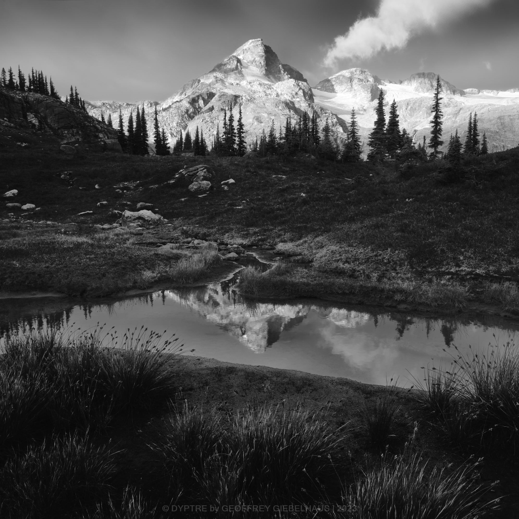 A quiet pond reflects a distance mountain as the first light of the morning shines and brightens the rock face. Wild alpine grasses and shrubs dot the foreground banks.