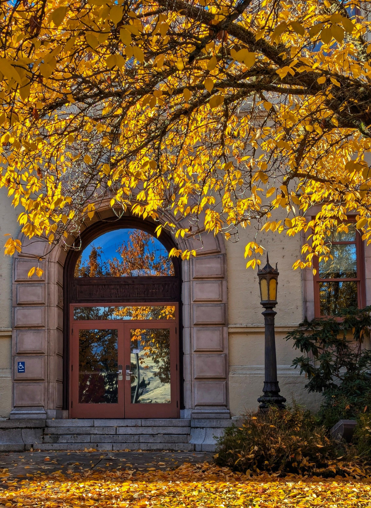 Photo of a set of glass doors with an arced glass window overhead, set in the sandy stone of a college administration building on a wet but sunny morning. Golden fallen leaves pave the walkway to the entrance and decorate the shrubs at the base of the nearby iron lantern with its dark gold glass; the donating cherry tree, still fluttering with and showering more gold leaves arches over the scene. The glass of the doors and the windows are vividly clear, reflecting back a vivid blue sky, shadowy cherry trunks, and constellations of leafy gold.