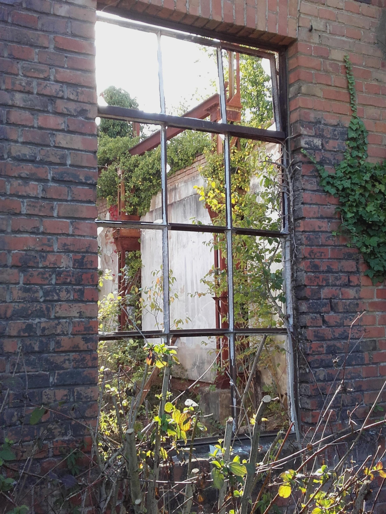 A big industrial window between walls of red bricks shows the inside of a vast roofless hall. Green plants like ivy, brambles, and even small trees proliferate on the walls and inside. On the opposite wall, big iron constructions are still visible, completely rusted. The buildings date from the First World War, when the Germans extracted the oil from oil sands for their war machine. They had occupied Alsace at the time and Alsatian workers had to labour here to supply power for weapons, which were also directed against their own families in France.