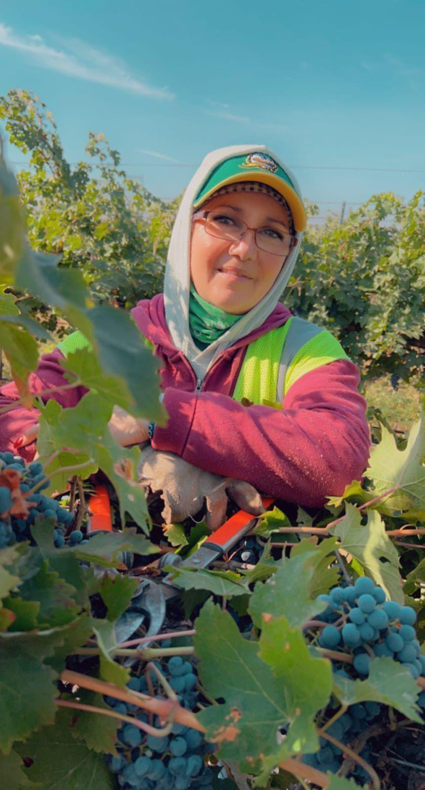 Workers standing in a wine grape vineyard with a big smile