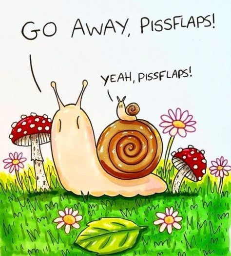 A cartoon of a large snail in a meadow, surrounded by flowers and amanita muscaria.  There's a tiny snail sitting on the other snail's shell.
Snail 1: "GO AWAY, PISSFLAPS!"
Snail 2: "YEAH, PISSFLAPS!"