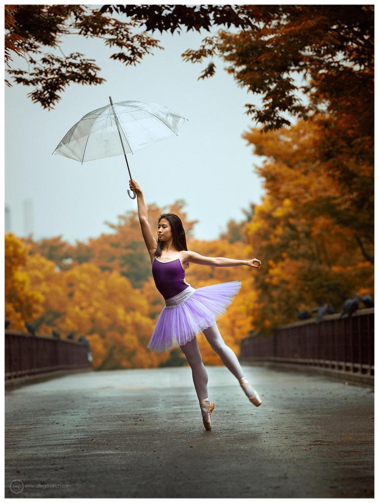 A portrait orientation photograph of Japanese ballerina, Mone Ohashi, made in 2015, in Yoyogi Park, Tokyo. 

Mone is on the bridge that crosses the main road from the park to the event space just north west of NHK's HQ in Shibuya. Her background is a wonderful group of autumn trees, with yellow foliage. 

She has a transparent umbrella in her hand and is perfectly poised on her right point, holding the umbrella up into a section of sky perfectly framed by the trees above. She's wearing a lilac tutu and dark purple leotard. 