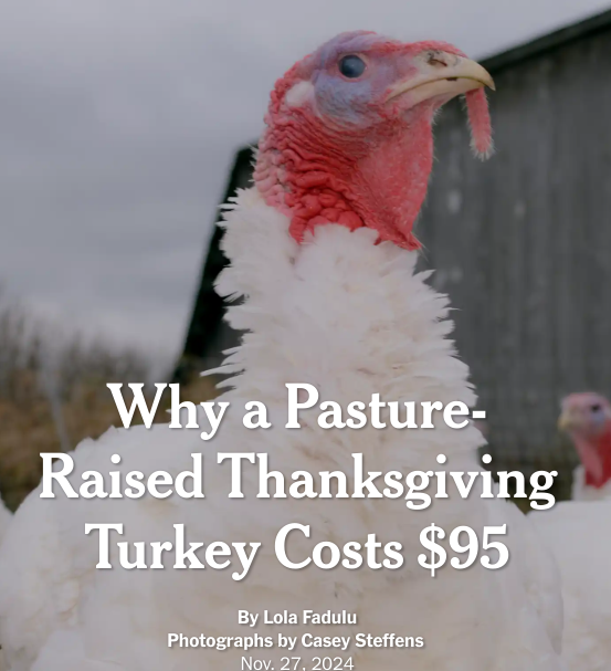 why a pasture-raised Thanksgiving turkey costs $95