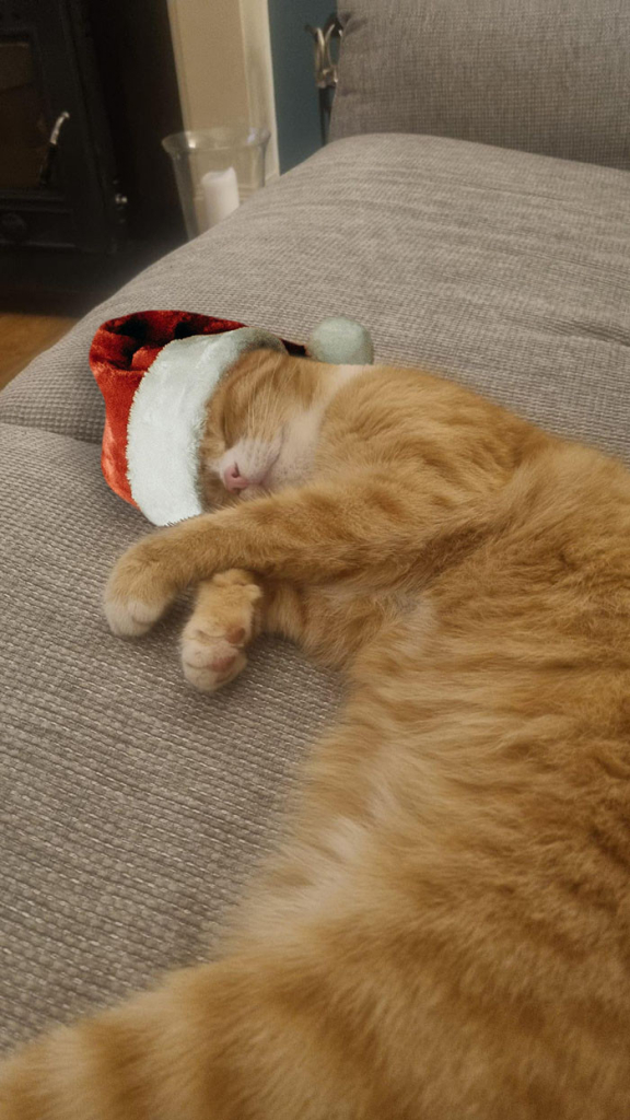 An orange cat wearing a Santa hat lies on the couch with his eyes closed and front paws crossed