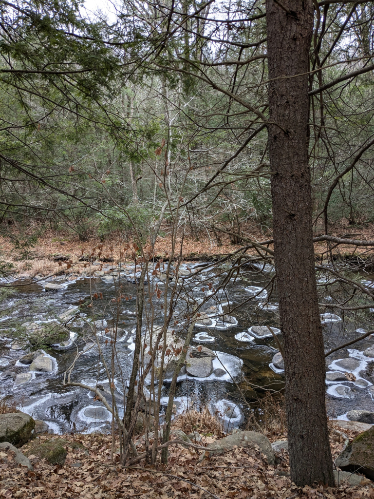 The white of ice encircles the river rocks seen from the rail trail.