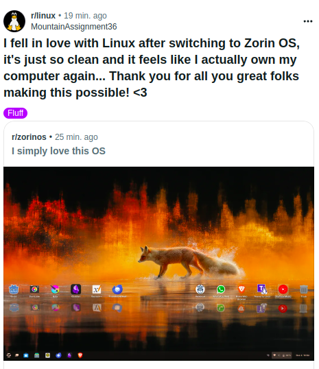 Reddit post in /r/linux by /u/MountainAssignment36 read as follows:

I fell in love with Linux after switching to Zorin OS, it's just so clean and it feels like I actually own my computer again... Thank you for all you great folks making this possible! <3

There is a screenshot of zorinos
https://www.reddit.com/r/linux/comments/1h6ic5a/i_fell_in_love_with_linux_after_switching_to/
