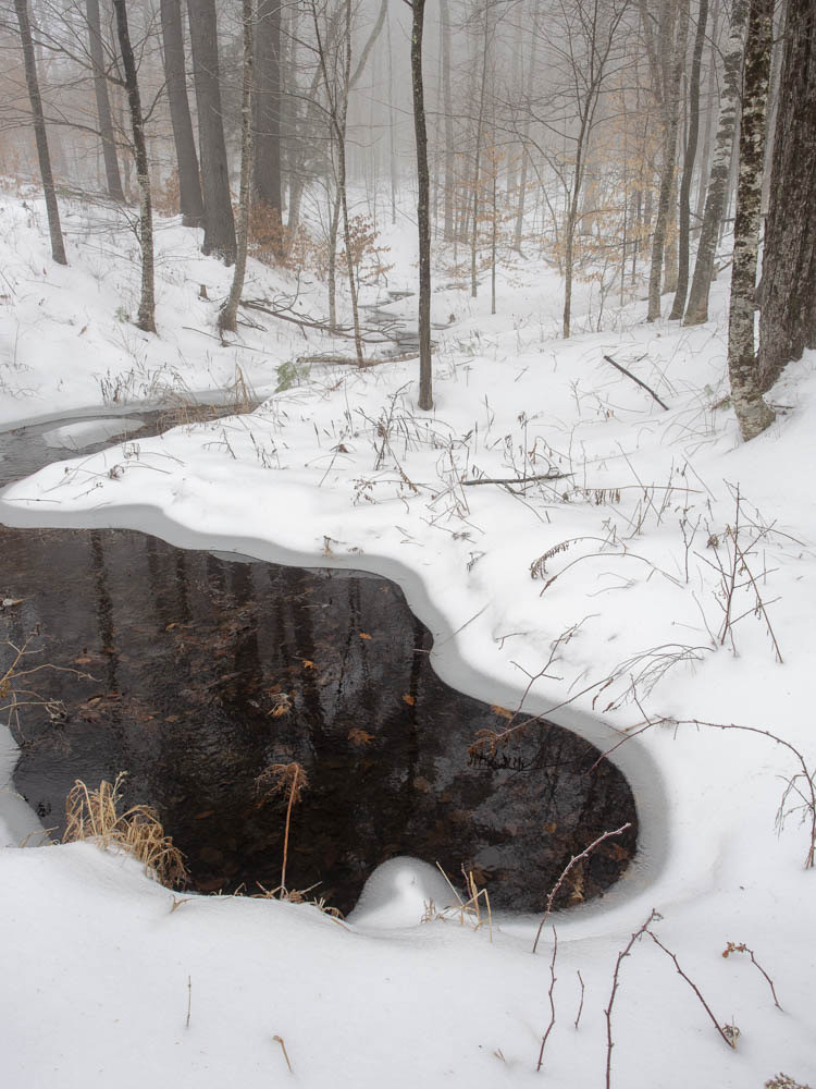 A stream in a woods with a bit of mist