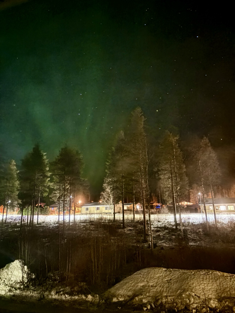 Grünes Polarlicht hinter Bäumen und Häusern