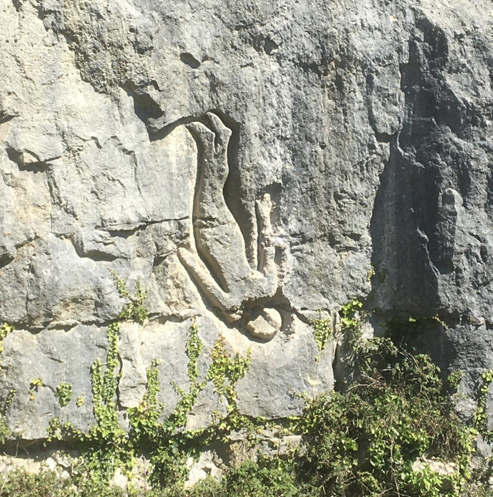 a figure carved into grey stone rock face falling headfirst. plants grow from below up the surface of the rich face