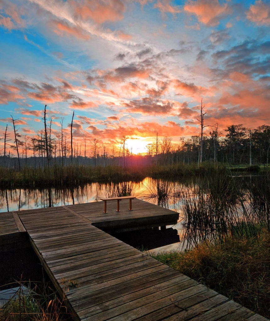 Stunning sunrise over Goodby's Creek. From the entrance of a small wooden deck, with a bench for observations, looking out over the small waterway and adjacent wetland while the sun pops above the horizon. A baby-blue sky is exploding with pastel colors reflected off the small cloud formations surrounding the bright yellow sun. A stretch of deep orange illuminates the otherwise dark wetlands, where tall reeds and barren trees appear more than dark silhouettes from the sun's glow. The scene casts shadows and an incredibly bright reflection upon the calm water below.