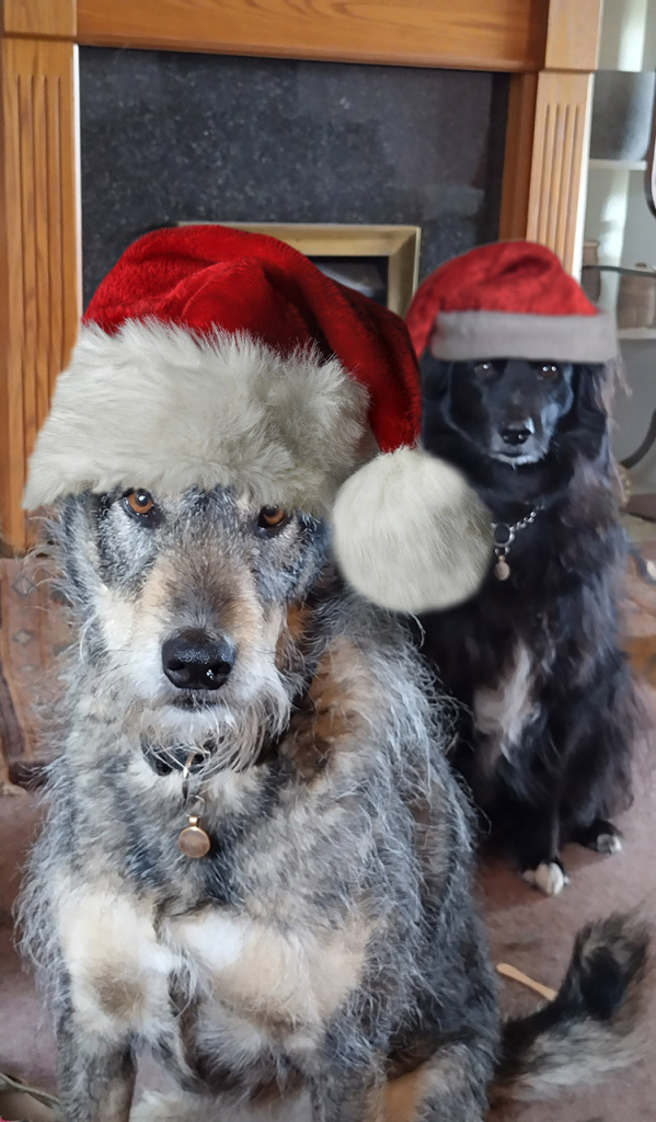 Two dogs, one grey and tan, the other mainly black, sat one behind the other in front of a fireplace. They both wear Santa hats.