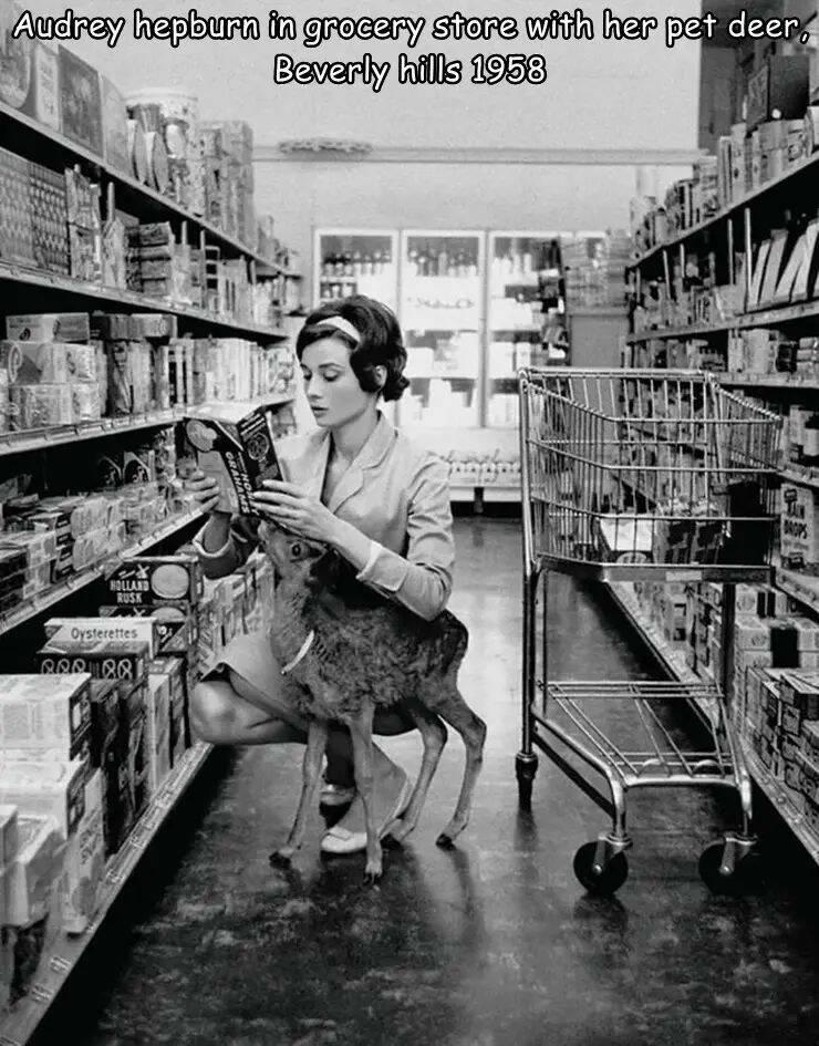 Audrey Hepburn in a grocery store with her pet deer. 1958.