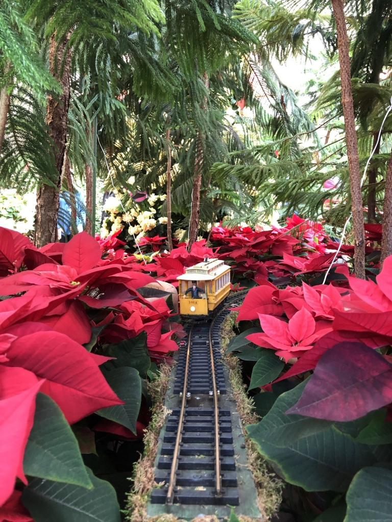 A miniature yellow train on a track surrounded by vibrant red poinsettia plants and green foliage.