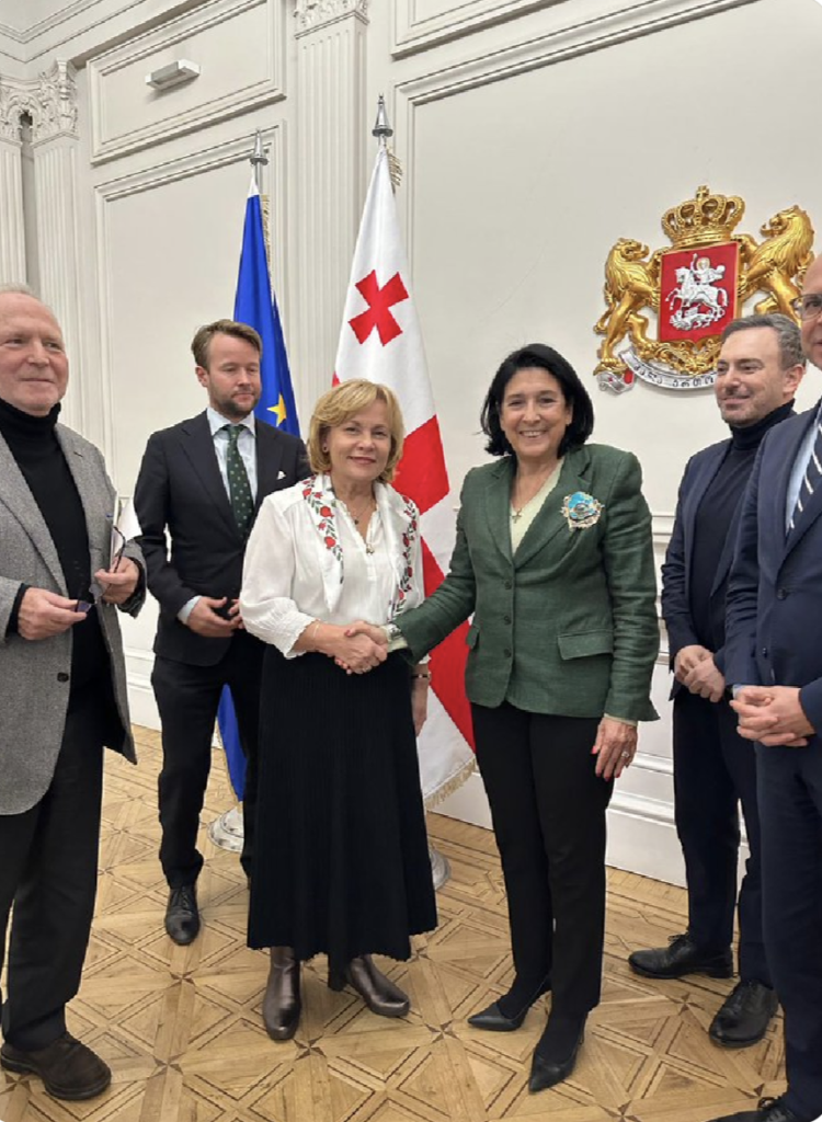 Tbilisi Georgia. Handshake photo between Zourabichvilli and MEPs as discussed in main post.