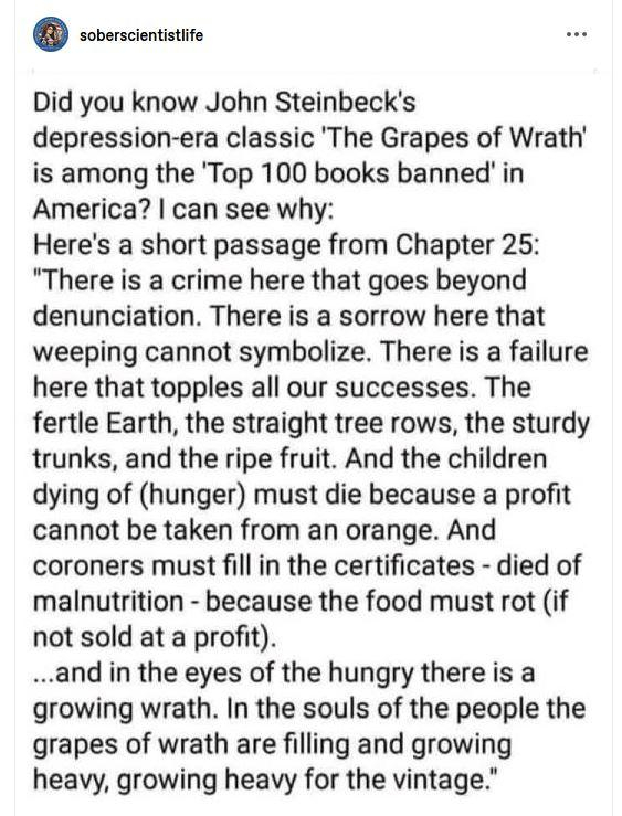 Post by sober scientist life:
"Did you know John Steinbeck's depression-era classic 'The Grapes of Wrath' is among the 'Top 100 books banned' in America? I can see why:
"Here's a short passage from Chapter 25: 'There is a crime here that goes beyond denunciation. There is a sorrow here that weeping cannot symbolize. There is a failure here that topples all our successes. The fertle Earth, the straight tree rows, the sturdy trunks, and the ripe fruit. And the children dying of (hunger) must die because a profit cannot be taken from an orange. And coroners must fill in the certificates - died of malnutrition - because the food must rot (if not sold at a profit).

"...and in the eyes of the hungry there is a growing wrath. In the souls of the people the grapes of wrath are filling and growing heavy, growing heavy for the vintage." 