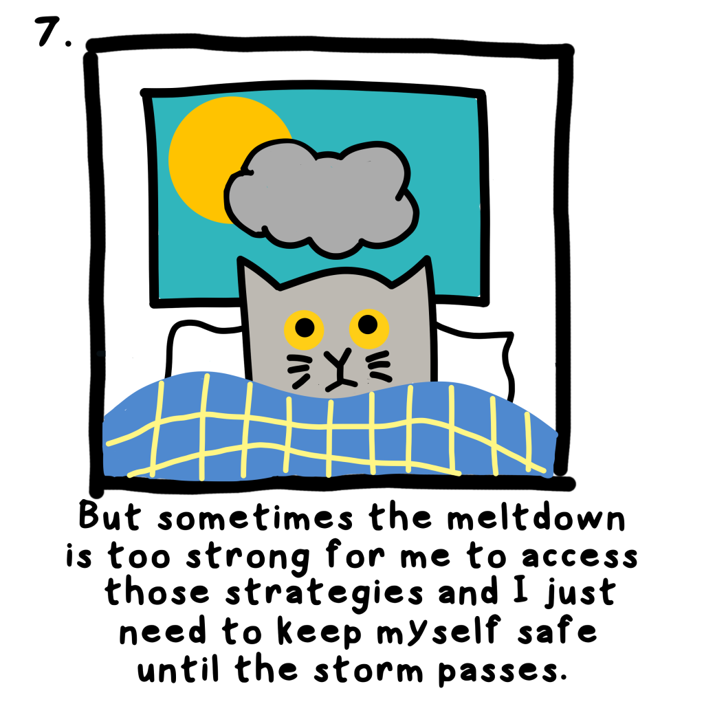 But sometimes the meltdown is too strong for me to access those strategies and I just need to keep myself safe until the storm passes.