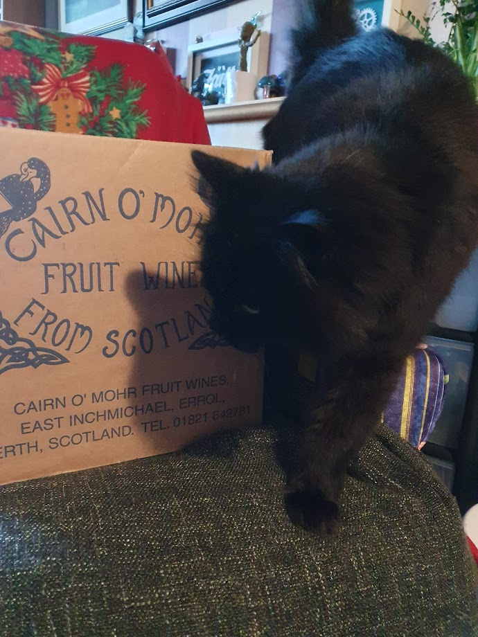 A cardboard box on a chair, the box has the branding for Cairn o' Mohr Fruit Wines from Scotland, and the address on the box. A fluffy black cat is on the arm of the chair exploring the box. There is a Christmas blanket on the back of the chair, behind the chair is a fireplace with random things on it including a dancing Groot. A couple of plants can be seen at the back of the cat. 