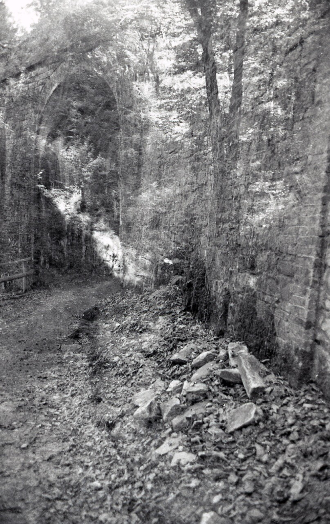 Black and white photograph. A double exposure in the woods featuring trees, a stream, and some sort of arched stone bridge.