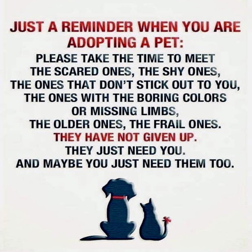 A flyer or poster with this text: 
Just s reminder when you are adopting a pet:
Please take the time to meet the scared ones, the shy ones, the ones that don't stick out to you, the ones with the boring colors or missing limbs, the older ones, the frail ones. They have not given up. They just need you. And maybe you need them, too.

Below that are silhouettes of a dog and a cat, seen from behind.