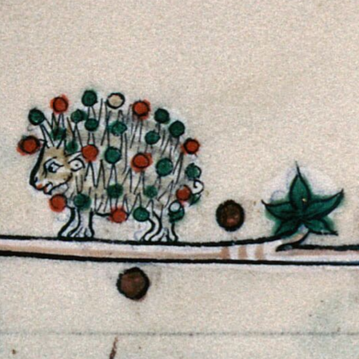 "Christmas hedghog" - detail of an illustration from a medieval illuminated manuscript, hedgehog with red and green round fruits on its quills

Verdun, Bibl.mun., ms 0107, f. 008
https://bvmm.irht.cnrs.fr/iiif/9684/canvas/canvas-1283591/view