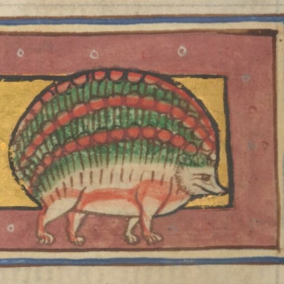 "Christmas hedghog" - detail of an illustration from a medieval illuminated manuscript, hedgehog with red and green round fruits on its quills

Morgan Library, MS M.81 (The Worksop Bestiary), folio 10v
http://ica.themorgan.org/manuscript/page/3/77019