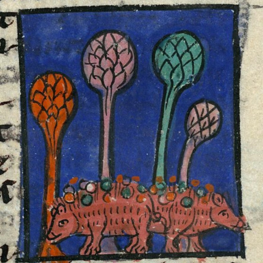 "Christmas hedghogs" - detail of an illiustration from a medieval illuminated manuscript, two hedgehogs with red and green round fruits on their quills

Bibliothèque Municipale de Valenciennes, MS 101 (Bestiary of Hugh of Fouilloy), folio 189v
https://bestiary.ca/beasts/beastgallery217.htm