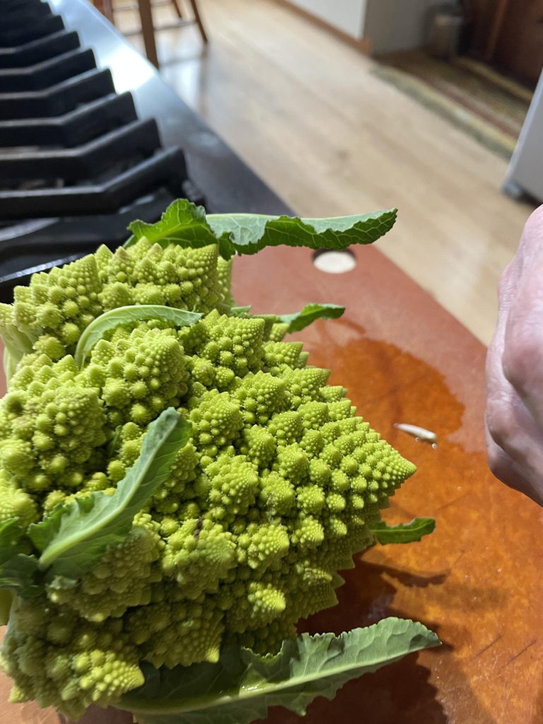 A large broccoli head on a cutting board. It has amazing spiral florets on it.