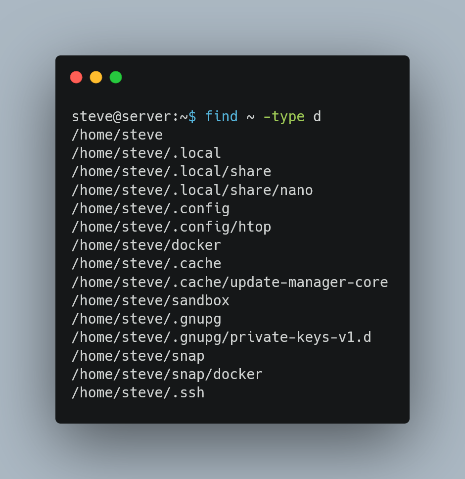 A terminal window with a command find ~ -type d executed. The output lists directories in the user's home directory, such as /home/steve, /home/steve/.local, /home/steve/.config, /home/steve/docker, /home/steve/.ssh, and more.