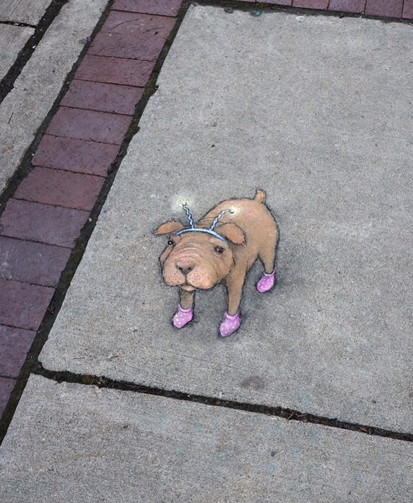 Streetart.A dog in a smart outfit has been drawn in chalk on a gray sidewalk.  The slightly disgruntled-looking beige-colored dog is wearing pink socks on his feet and a headband with flashing lights on his head. Title: "Lucy is a reluctant herald of frivolity and light."