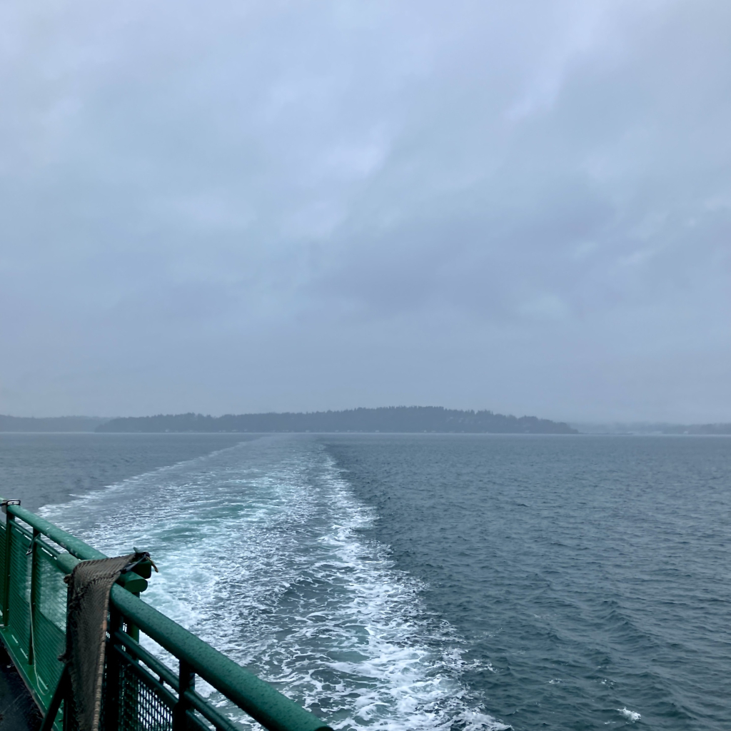 Wake of a state ferry in the Puget Sound on a rainy January day in Washington State. P: Luke Dorny