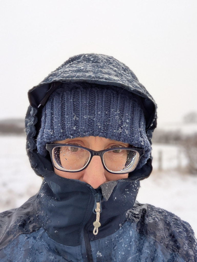 Colour photograph of the head and shoulders of a female figure dressed in a blue waterproof coat with a blue woolly hat and her hood up. Only her glasses and her nose are visible. She looks very wetThe background is out of focus snow.