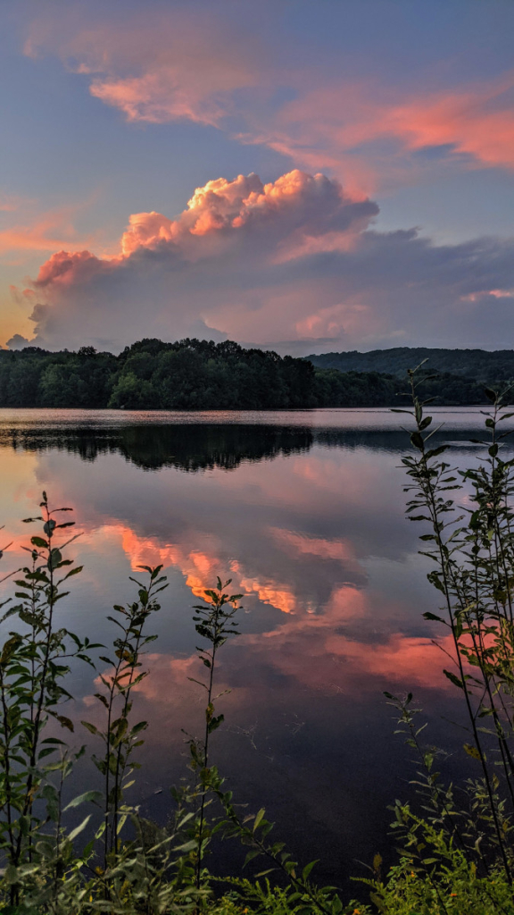 The deceptively calm stillness of a summer evening beside a lake. Looking out through a thicket of green leafy shoots growing beside the lake. Above the wooded far shore some tall thunderstorm clouds are being smudged in long hazy streaks across a pale blue sky by much stronger breezes aloft. The setting sun is tinting the clouds and haze in shades of pale gold and pink. Sky and far shore are mirrored in the very slightly rippled waters below.